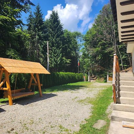 Cabana Valea Bradului Nucşoara Exterior foto