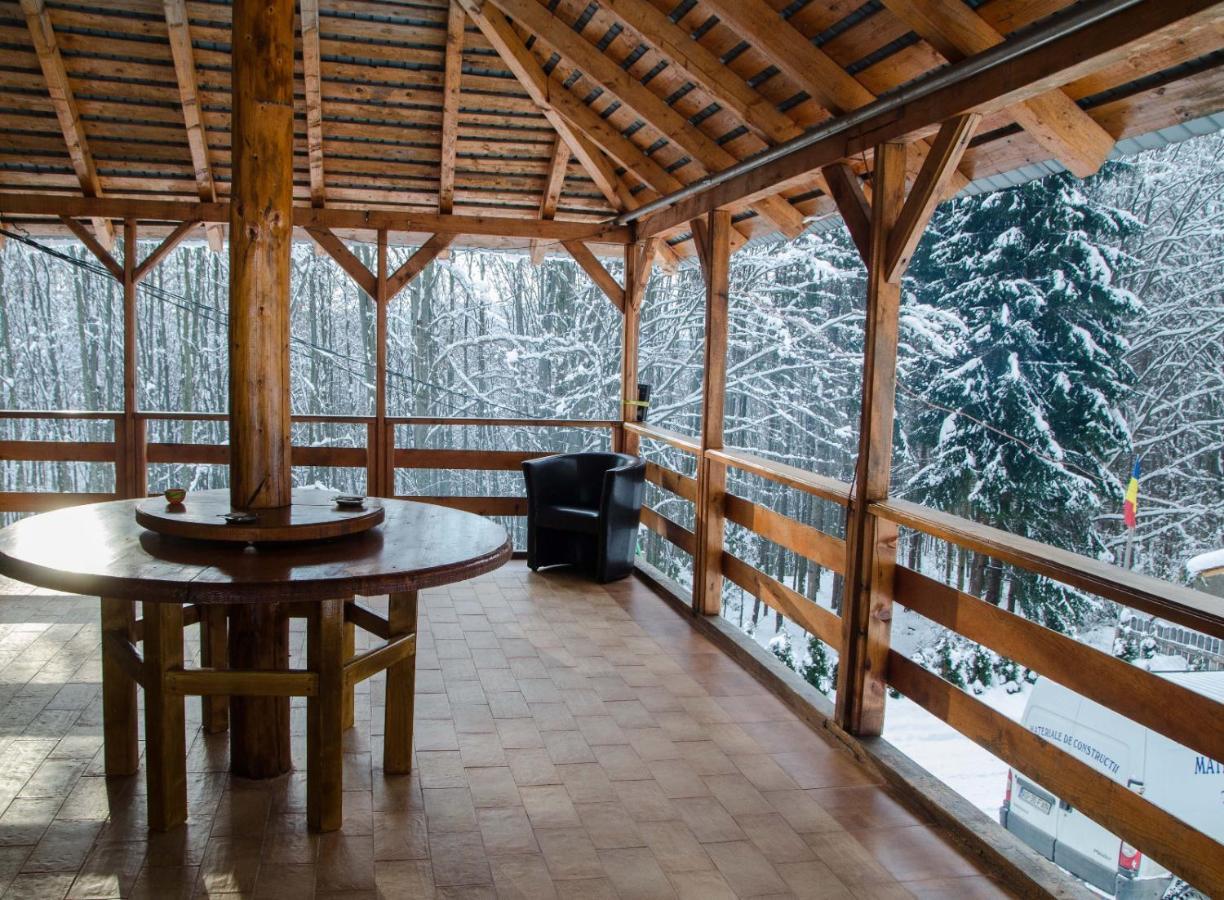 Cabana Valea Bradului Nucşoara Exterior foto