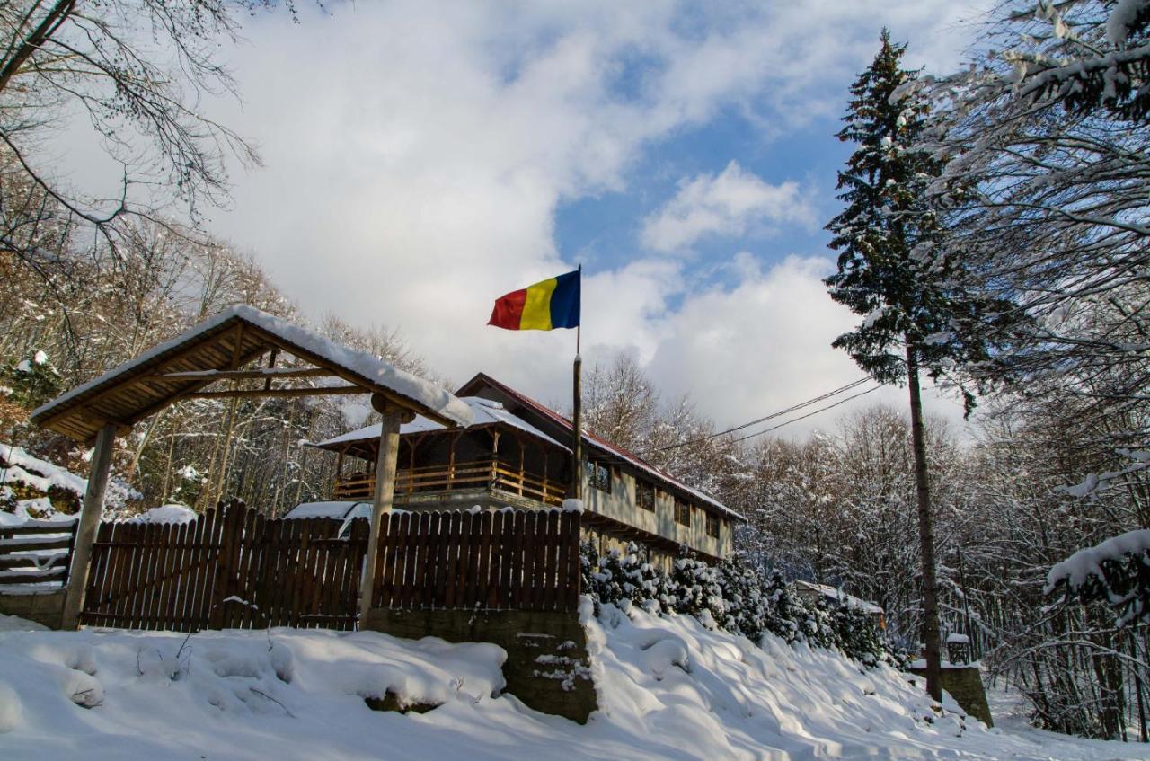 Cabana Valea Bradului Nucşoara Exterior foto