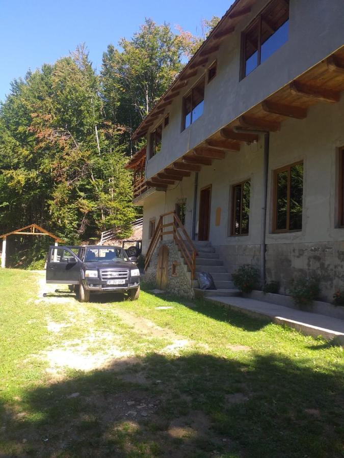 Cabana Valea Bradului Nucşoara Exterior foto