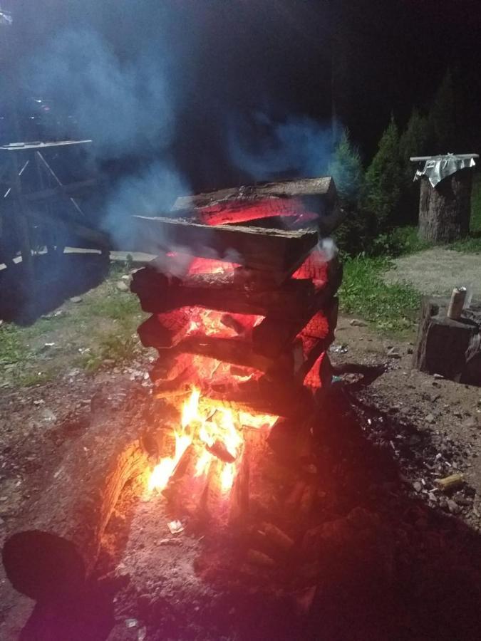 Cabana Valea Bradului Nucşoara Exterior foto
