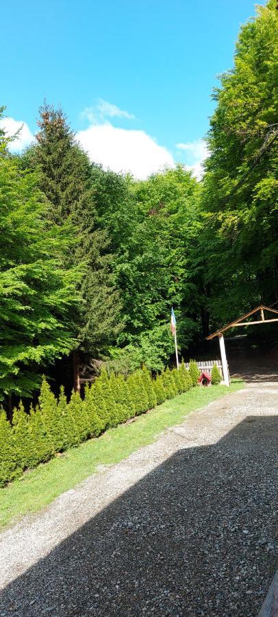 Cabana Valea Bradului Nucşoara Exterior foto