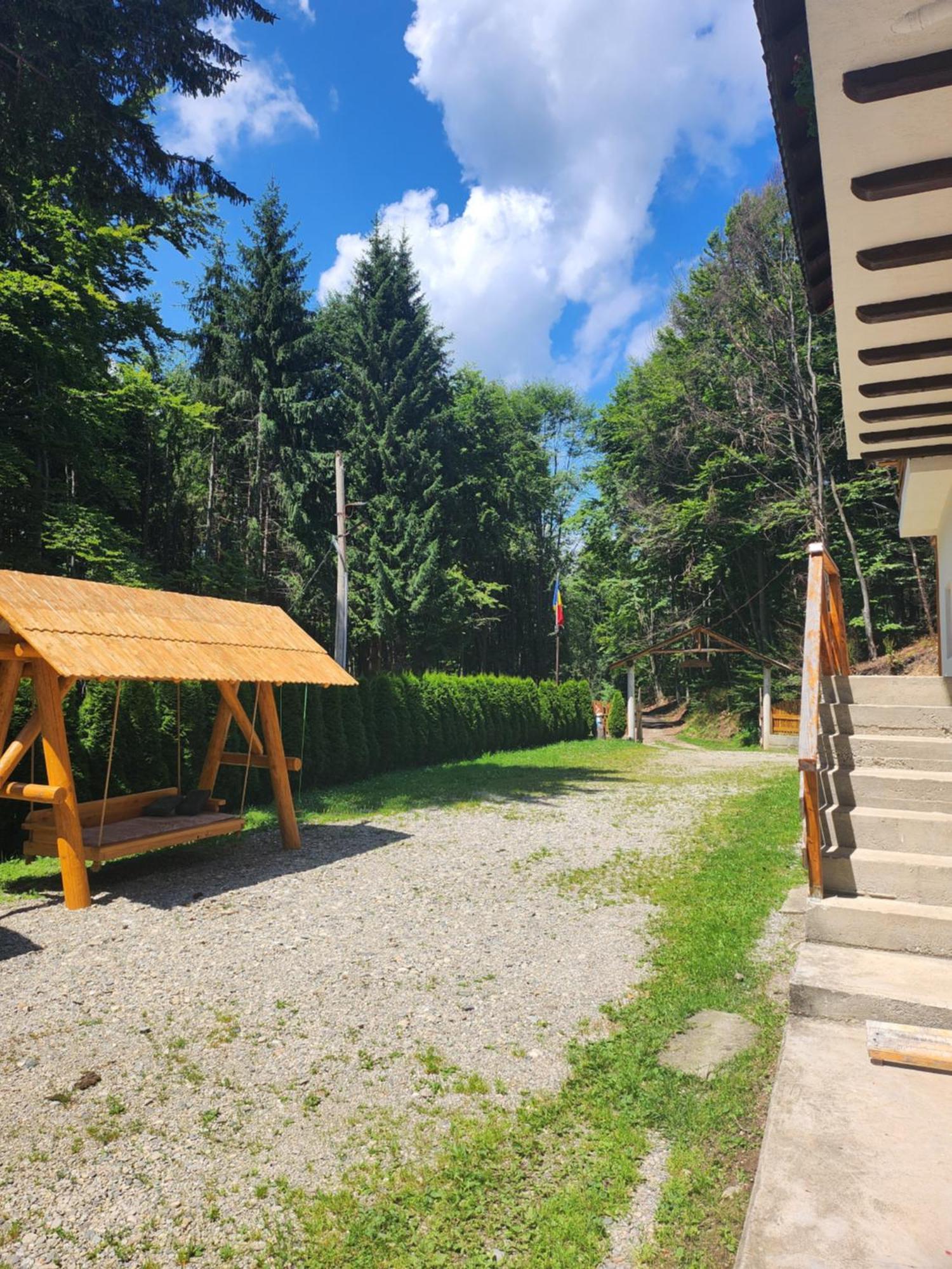 Cabana Valea Bradului Nucşoara Exterior foto