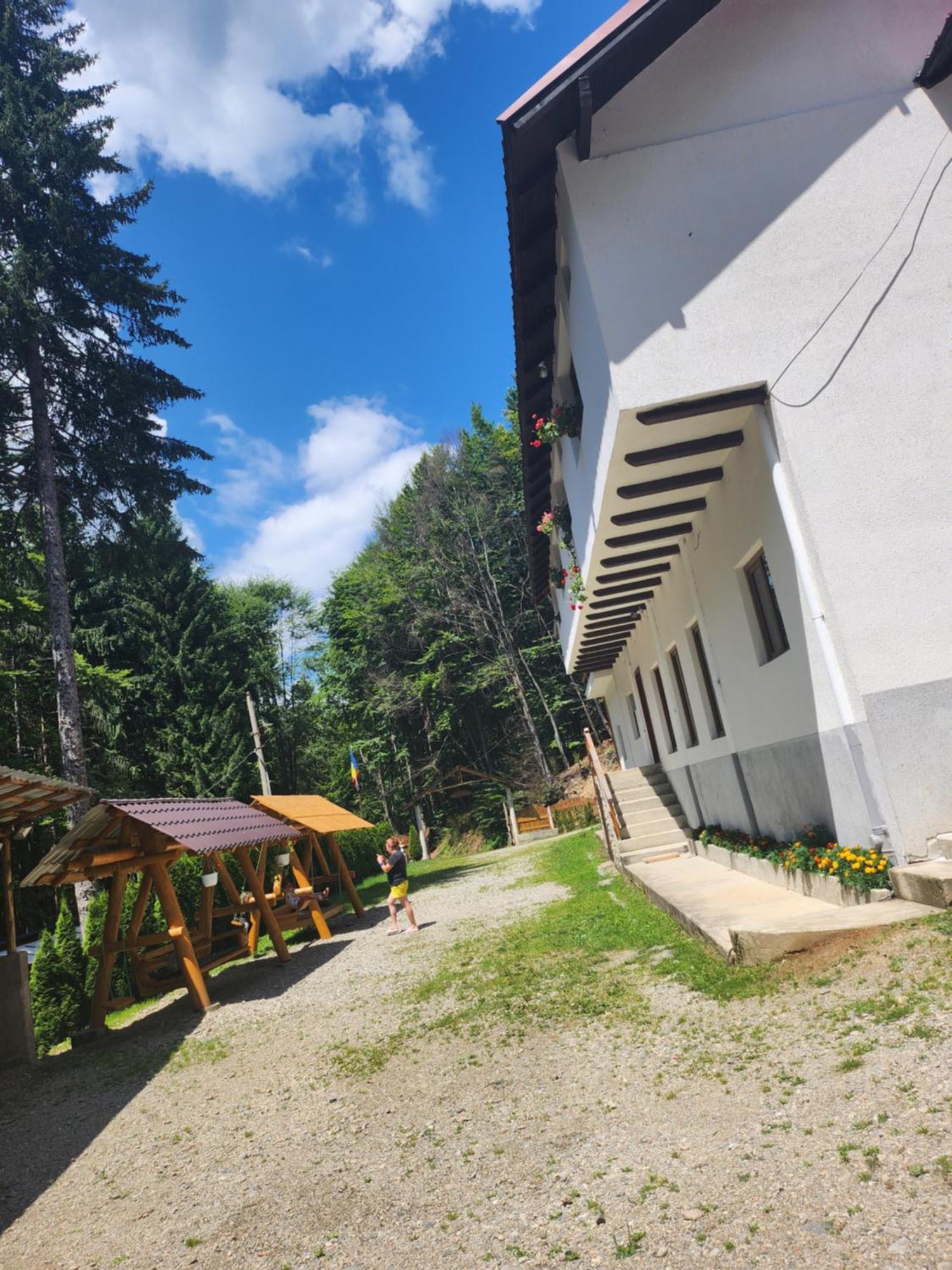 Cabana Valea Bradului Nucşoara Exterior foto